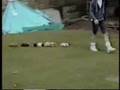 Animal bloopers
