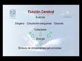 Abordaje Inicial del Paciente en Estado de Coma