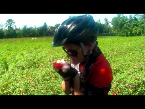 Bali Mountain Bike Adventure