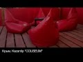 Кресла-мешки в клубе "COLISEUM" в Крыму на Казантипе