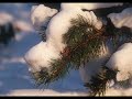 Antonio Vivaldi.Four seasons.Winter.