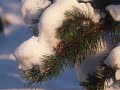 Antonio Vivaldi.Four seasons.Winter.