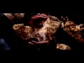 Mortal Kombat 3: Devastation Teaser Trailer 2010