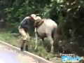 Encima la burra