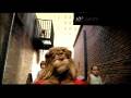 Between the Lions: Gawain's Word - "shark" - YouTube Between the Lions: Gawain's Word - "shark" - YouTube