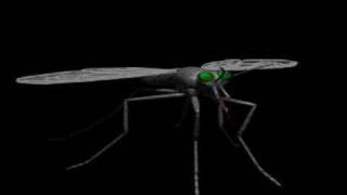 Mosquito Ringtone Download