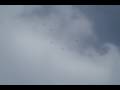 5 eagles attack rc plane must see' rarely video 