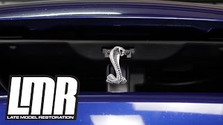 GT/V6/Cobra 0010203 94-04 Mustang 'F'N FAST' Badge Overlay Perfectly Cut!