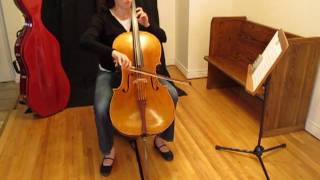 Cello Violoncelle Endpin Anchor Antidérapant Endpin Stopper Titulaire Stand Cello 