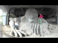 Troll dance Thumbnail