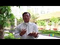 LỜI HẰNG SỐNG Thứ Tư 11.04.2018: ÁNH SÁNG VÀ BÓNG TỐI