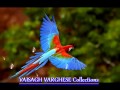 Tamil Melody Songs Collection Nonstop Jukebox