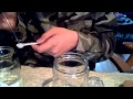 None Magic Video