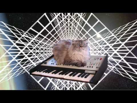 Cat Keyboard Space