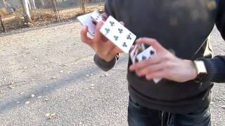 Cardistry Duo