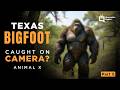 Part 5 Texas Bigfoot - Animal X Natural Mystery Unit