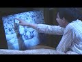 Mr Bean - Counting Sheep
