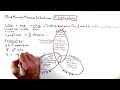 Fibromyalgia - One Minute Medical School