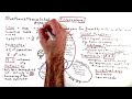 Fibromyalgia - One Minute Medical School