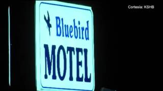 Un hombre fue asesinado en las afueras del Bluebird Motel