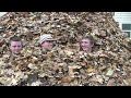 World's Biggest Pile Of Leaves