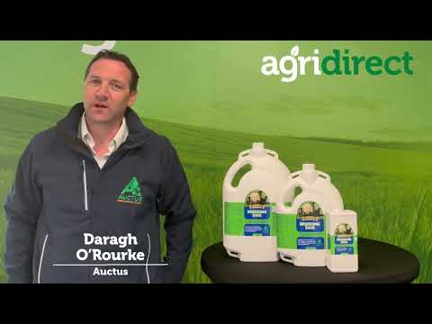 Nutrigain Breeding Ewe