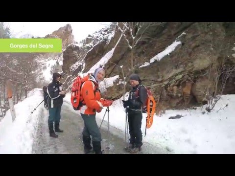 Snowshoeing in La Cerdanya