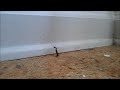 Earwig vs Spider, Double Speed, 1080p