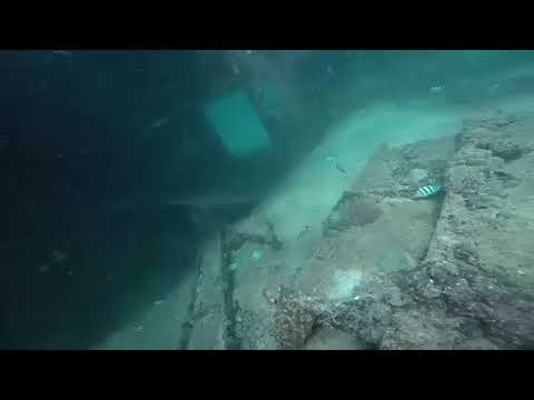 Diving Tours