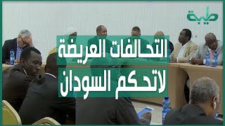 أ.حسن إسماعيل مشاكل السودان لا تحل بالتحالف مجدداً مع قحت