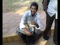 II-II ending imitations by sharath part -1.mp4