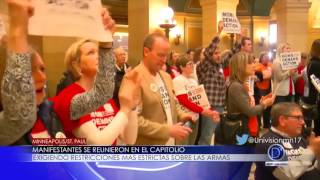 Manifestantes se reunieron en el capitolio  exigiendo restricciones más estrictas sobre las armas