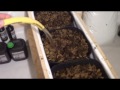 building a legal medical marijuana grow room part 03 - http://www.limbo-co.com