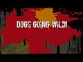 Dogs going wild! by Magisto