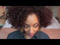 DEBUT REVIEW: New Shea Moisture Hair Color System, Ammonia FREE!!