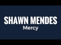 Shawn Mendes - Mercy Lyrics