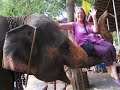 Ayutthaya - Funny Baby Elephant Bath, Thailand
