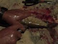 Filé de piau (rápido e prático) JB