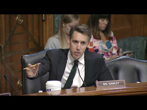 Hawley Grills Former FBI Employee & Judicial Nominee On Hunter Biden, FBI Monitoring Of Catholics