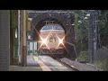 2014年引退予定189系N101編成国鉄色かいじ180号四方津駅通過