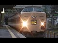 2014年引退予定189系N101編成国鉄色かいじ180号四方津駅通過