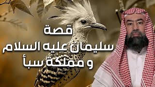 نبيل العوضي | قصة سيدنا سليمان عليه السلام من الميلاد للوفاة وقصته مع مملكة الجان وسر نقل عرش بلقيس