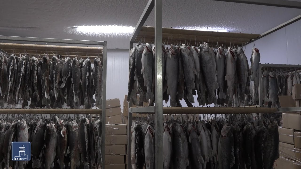 Ռեկորդային՝ մոտ 25.000 տոննա ձկան արտադրություն: Տարեվերջի համար կանխատեսումն է