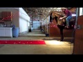 Best Marriage Proposal Ever For a Horse Lover!