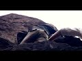 J'échoue - Alexandre Désilets
