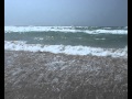 Thomas Newman Morocco Wild Ocean