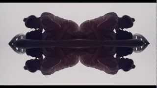 Kelly Sweet - Ashes of My Paradise (Official Video)