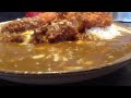 手仕込ささみカツカレー チーズトッピング