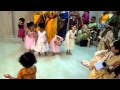 Bulbul Pakhi Moyna Tiye