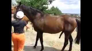 hors-fuck-women-homemade-mature-share-video